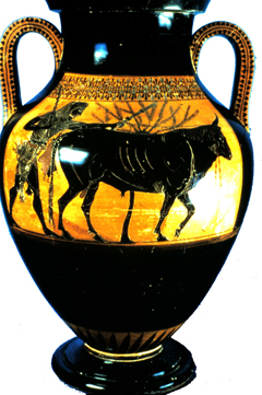 Lysippides Painter amphora